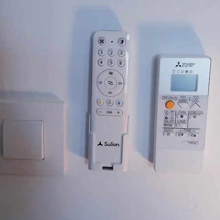 Micasadenia * 데니아